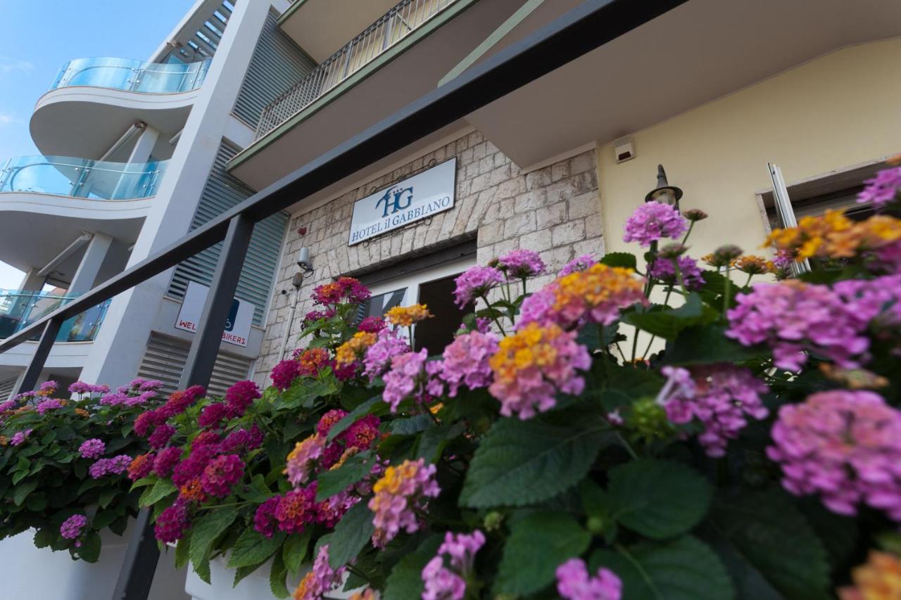 Hotel Il Gabbiano 3*